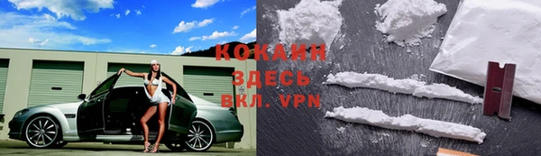 дмт Михайлов