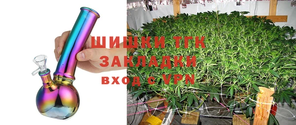 тгк Алзамай