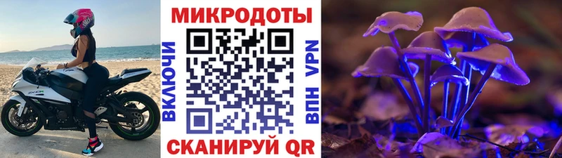 продажа наркотиков  Томилино  Псилоцибиновые грибы GOLDEN TEACHER 