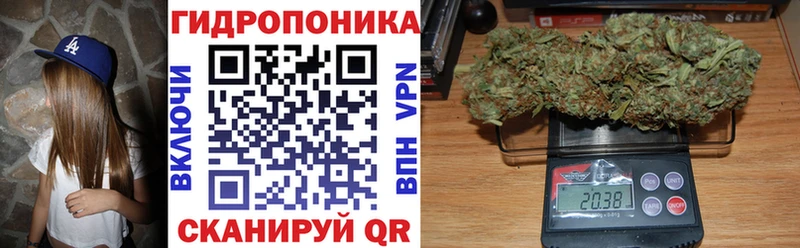 blacksprut ССЫЛКА  Томилино  Бошки марихуана Amnesia  что такое  